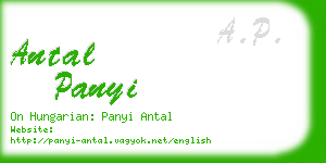 antal panyi business card